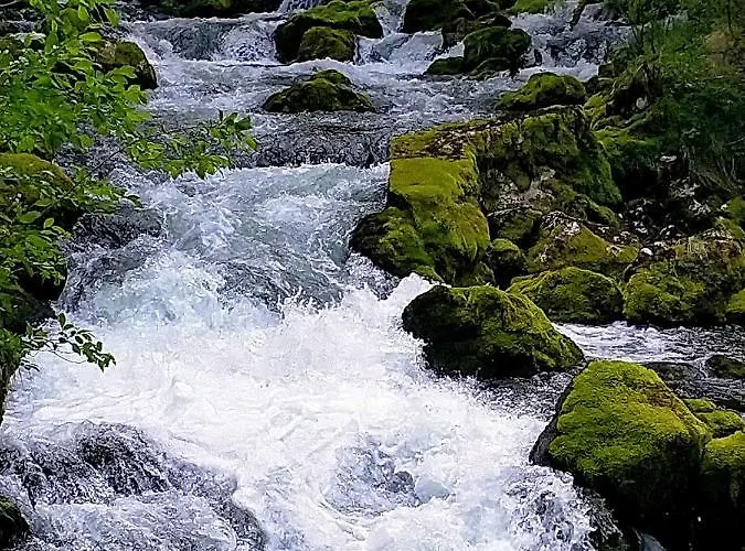 דירה Pri Zajcu בובק