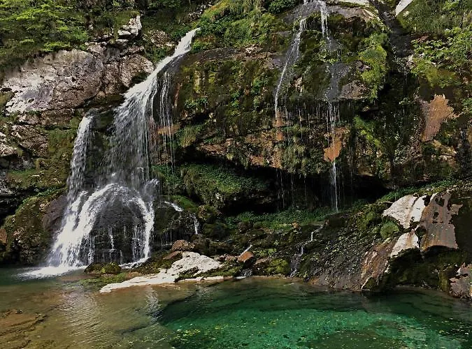 Pri Zajcu * בובק